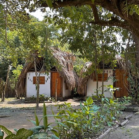 La Aldea Hostel, Camping Y Hamacas Palomino Eksteriør billede