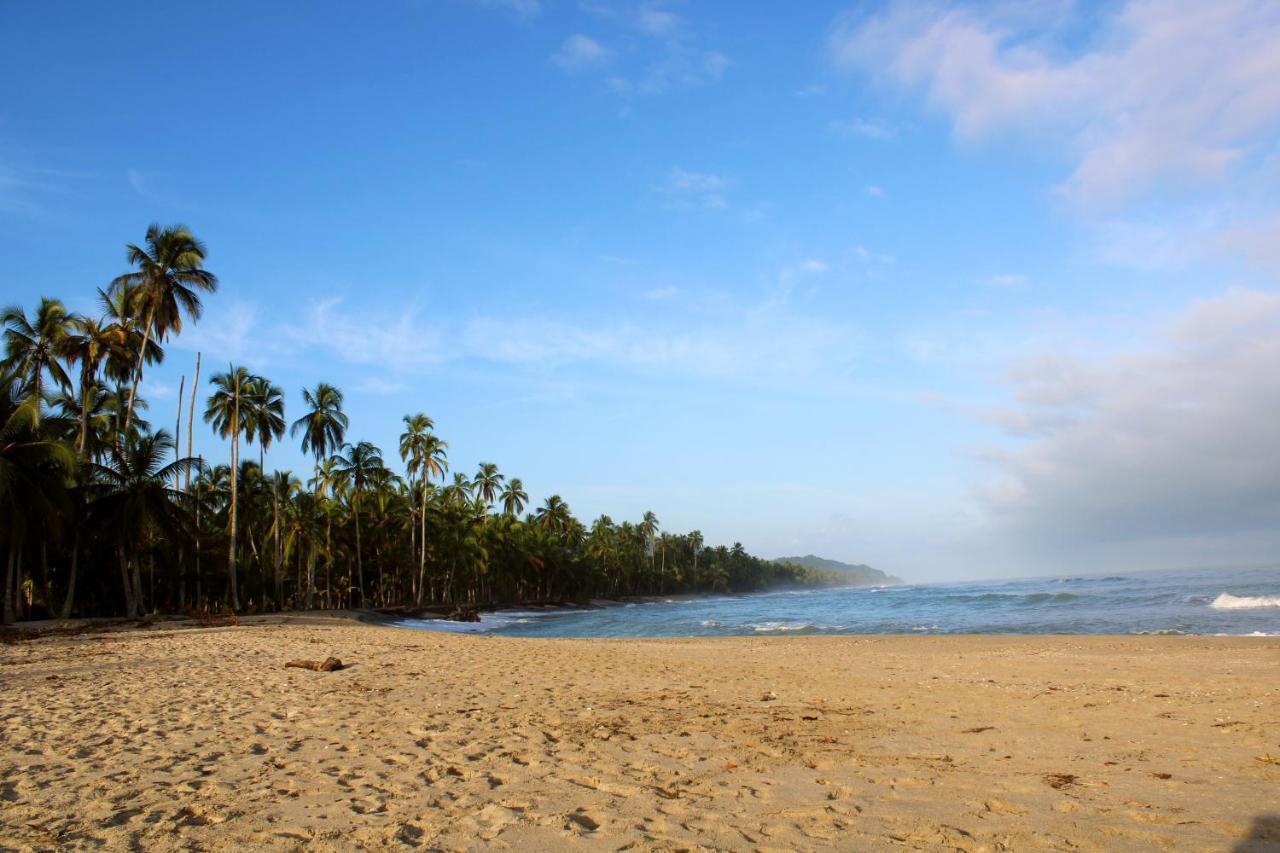 La Aldea Hostel, Camping Y Hamacas Palomino Eksteriør billede