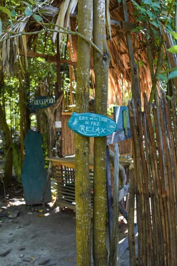 La Aldea Hostel, Camping Y Hamacas Palomino Eksteriør billede