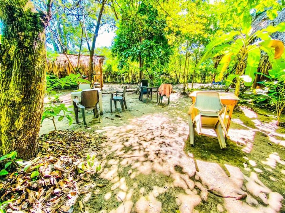 La Aldea Hostel, Camping Y Hamacas Palomino Eksteriør billede