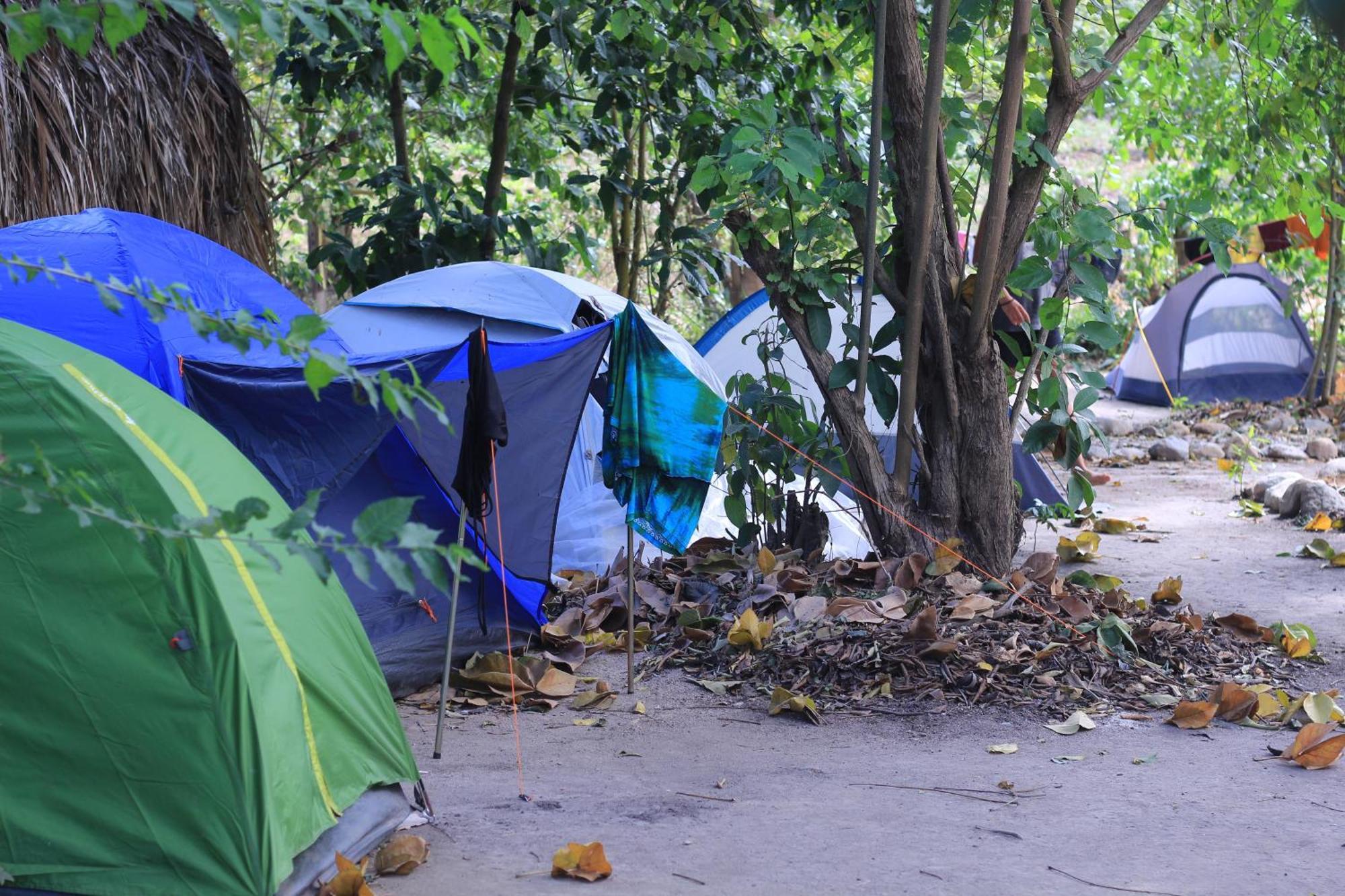 La Aldea Hostel, Camping Y Hamacas Palomino Eksteriør billede