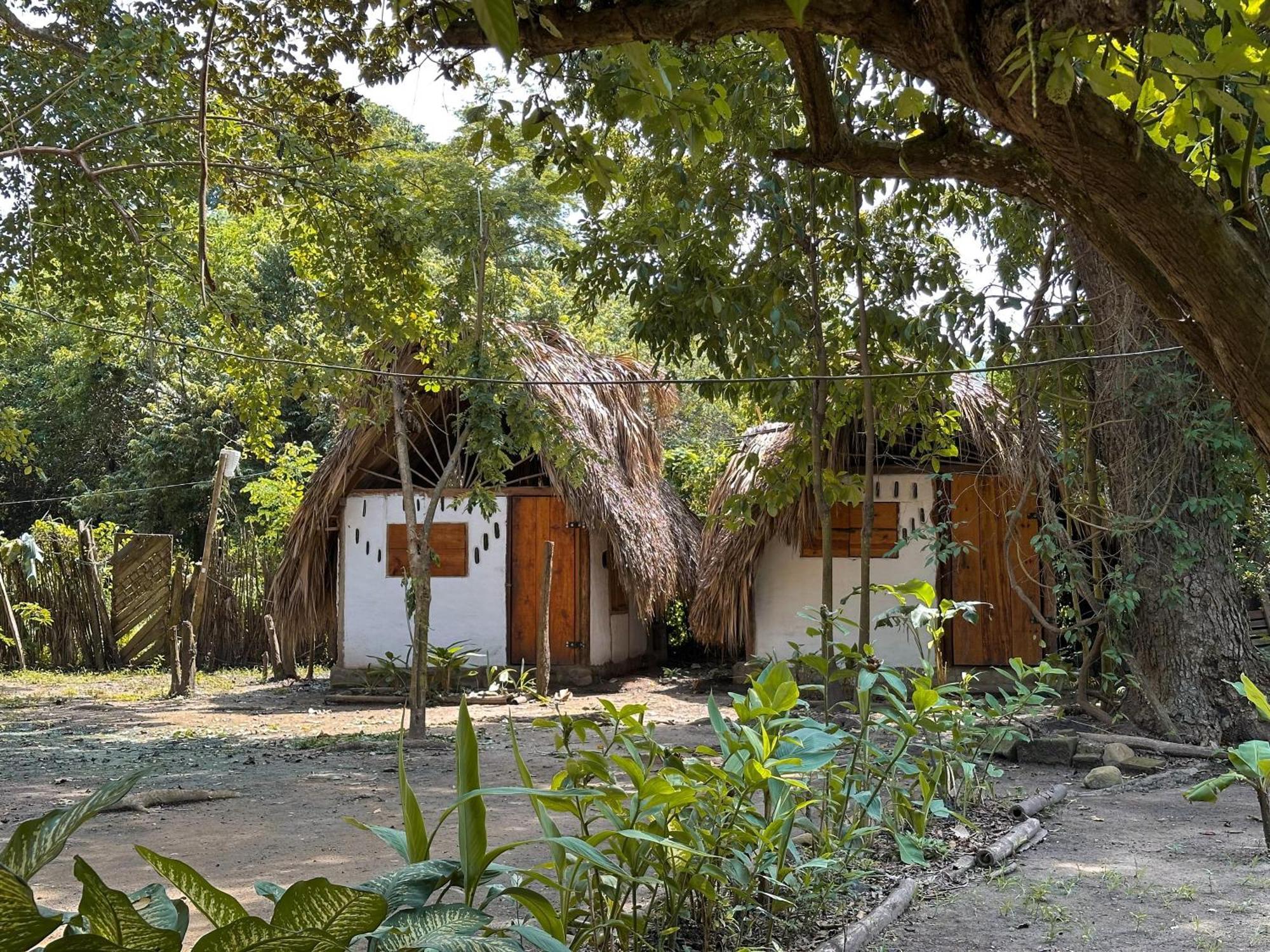 La Aldea Hostel, Camping Y Hamacas Palomino Eksteriør billede
