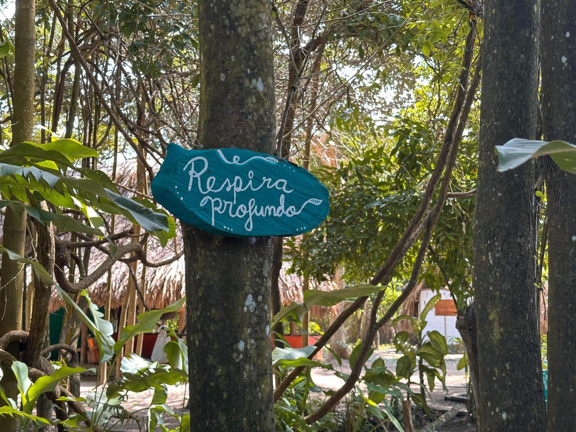 La Aldea Hostel, Camping Y Hamacas Palomino Eksteriør billede