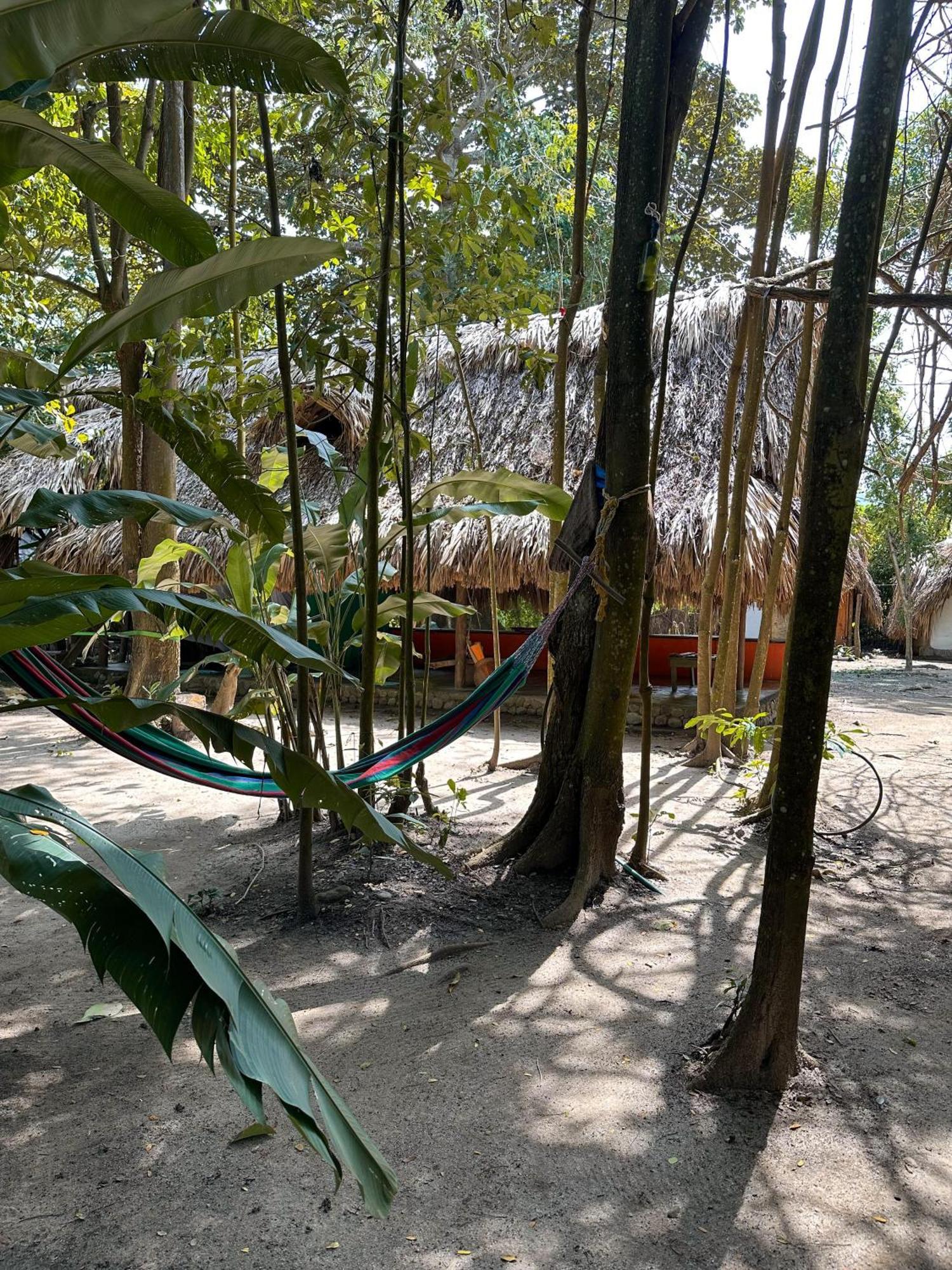 La Aldea Hostel, Camping Y Hamacas Palomino Eksteriør billede
