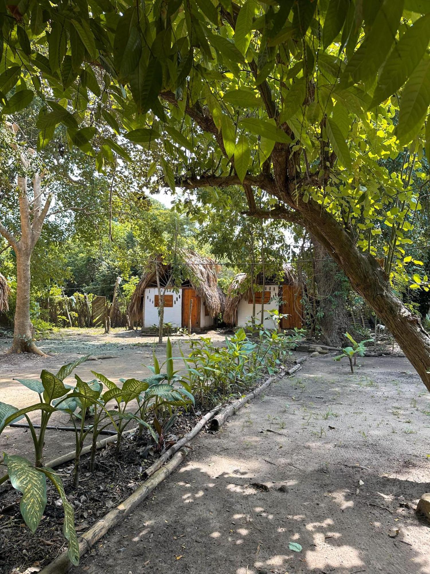 La Aldea Hostel, Camping Y Hamacas Palomino Eksteriør billede