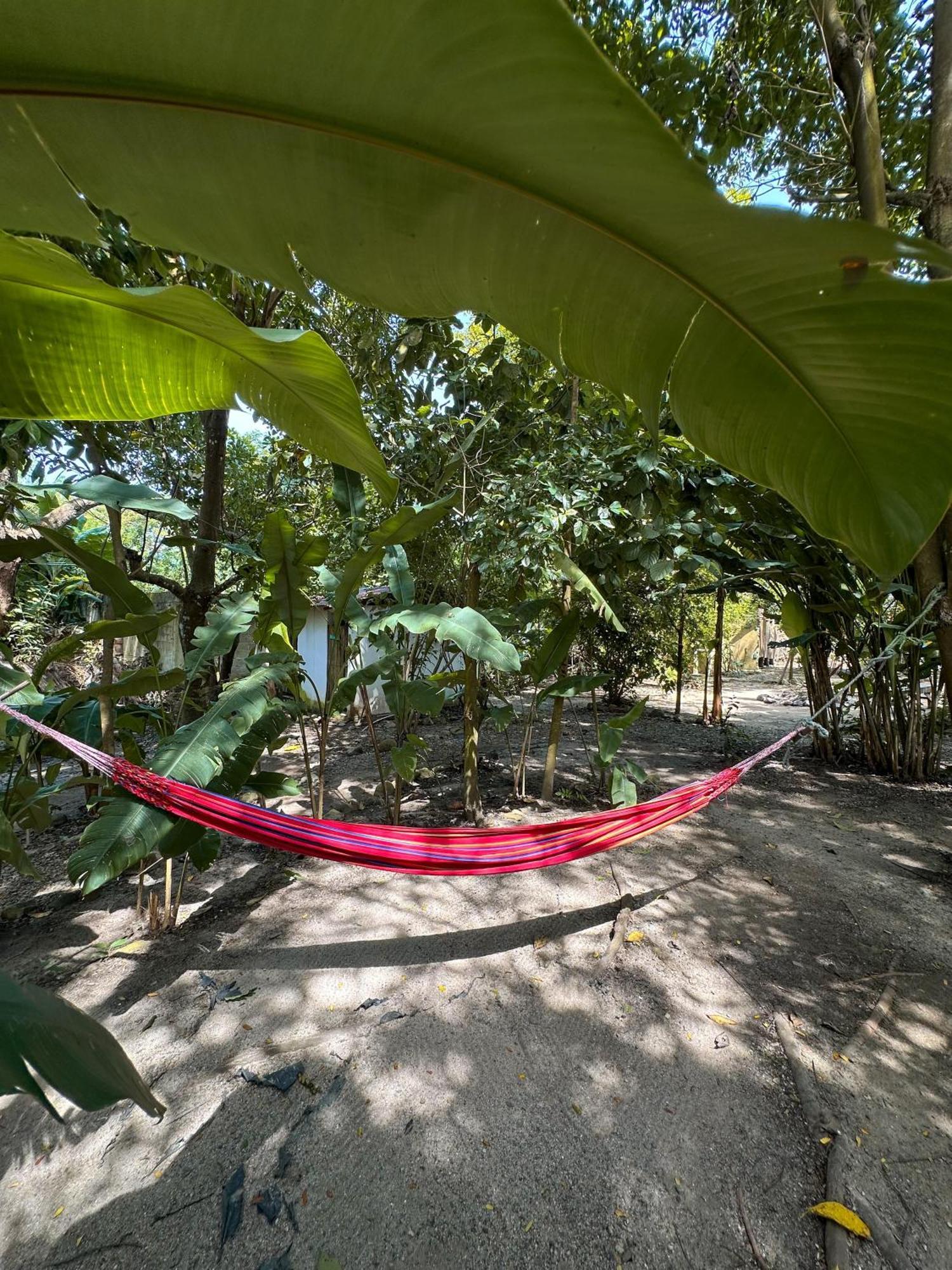 La Aldea Hostel, Camping Y Hamacas Palomino Eksteriør billede
