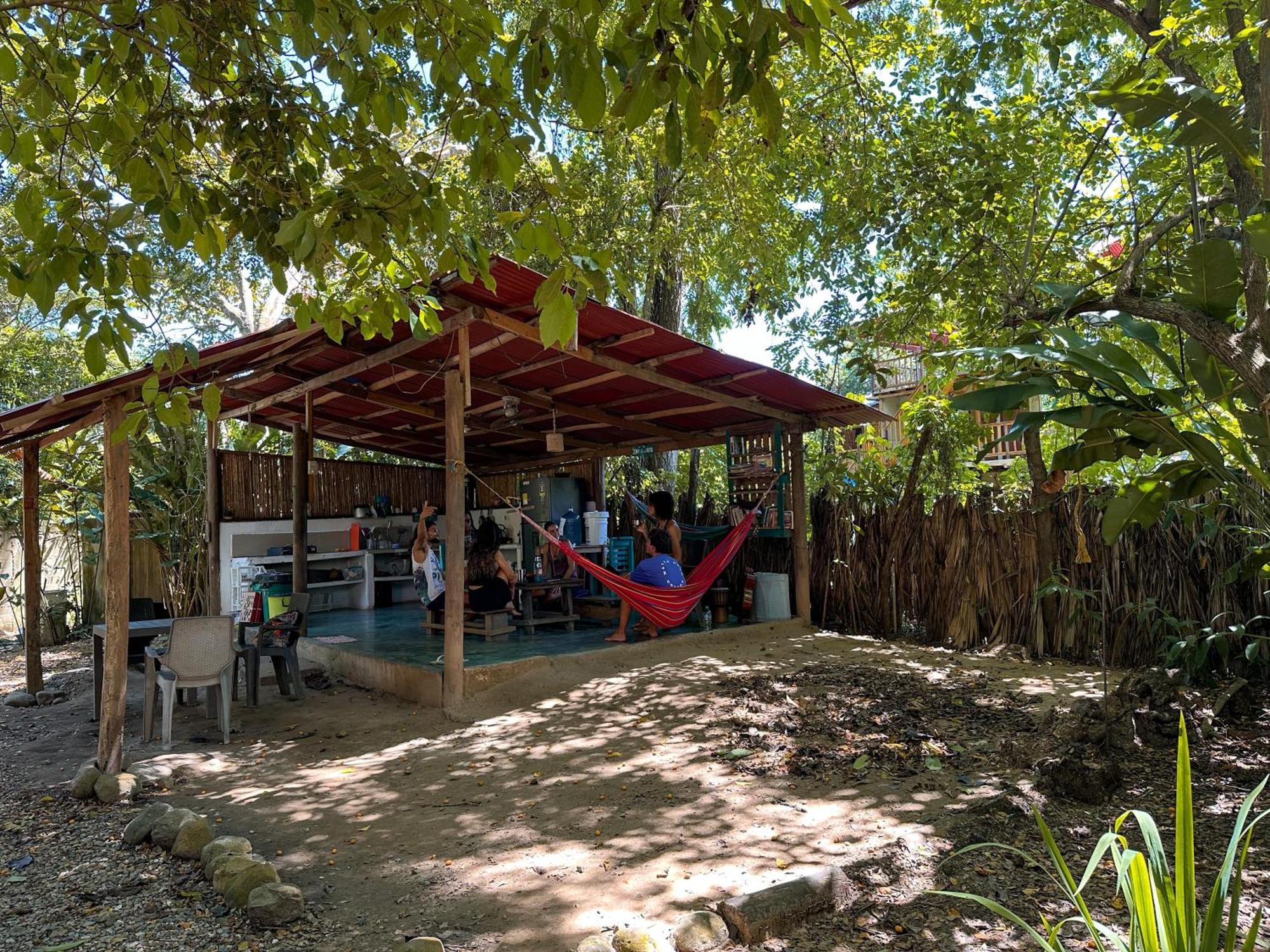 La Aldea Hostel, Camping Y Hamacas Palomino Eksteriør billede