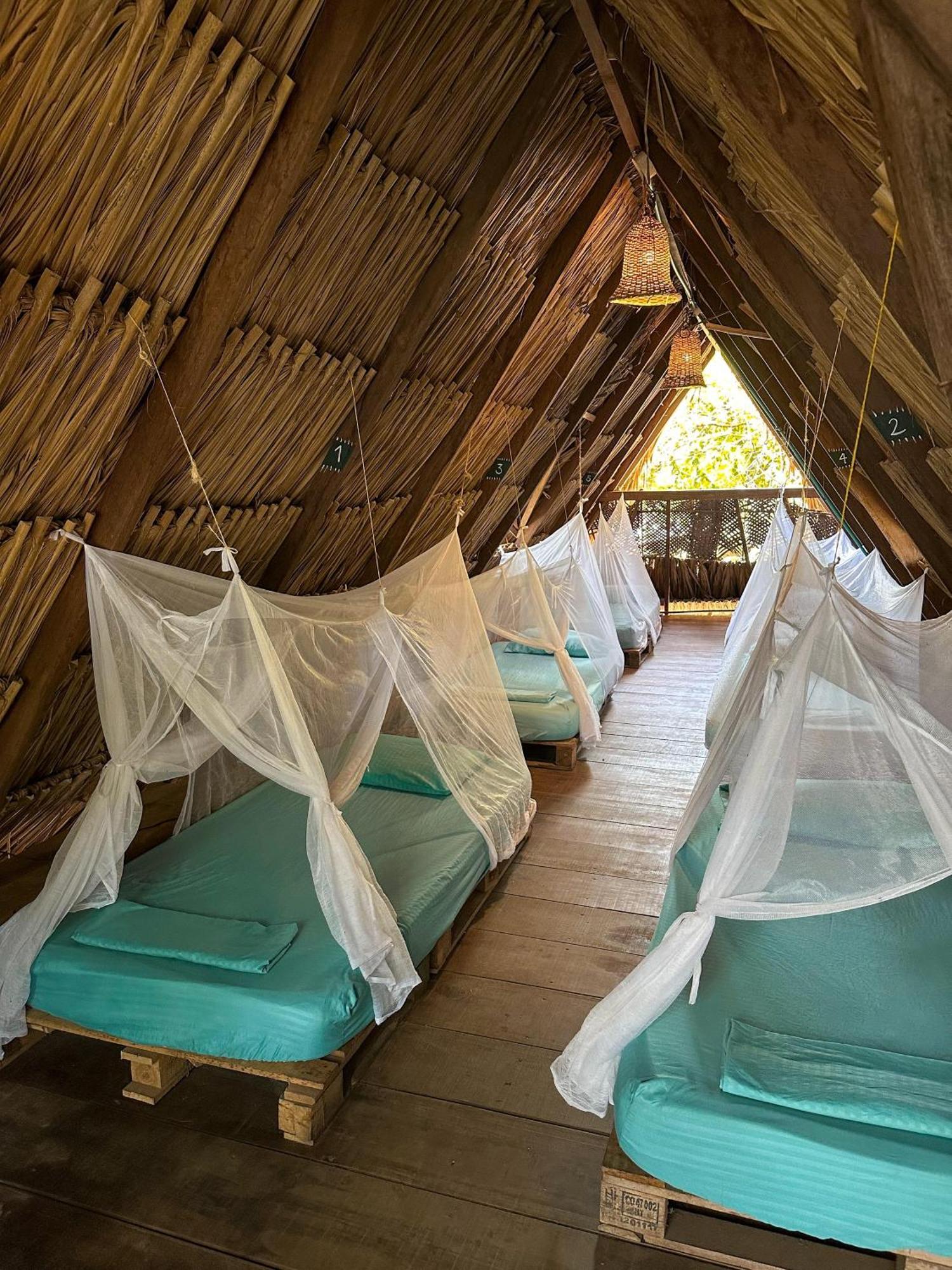 La Aldea Hostel, Camping Y Hamacas Palomino Eksteriør billede